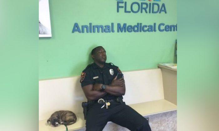 Florida Police Officer Rescues Puppy While on Duty, Photo Goes Viral
