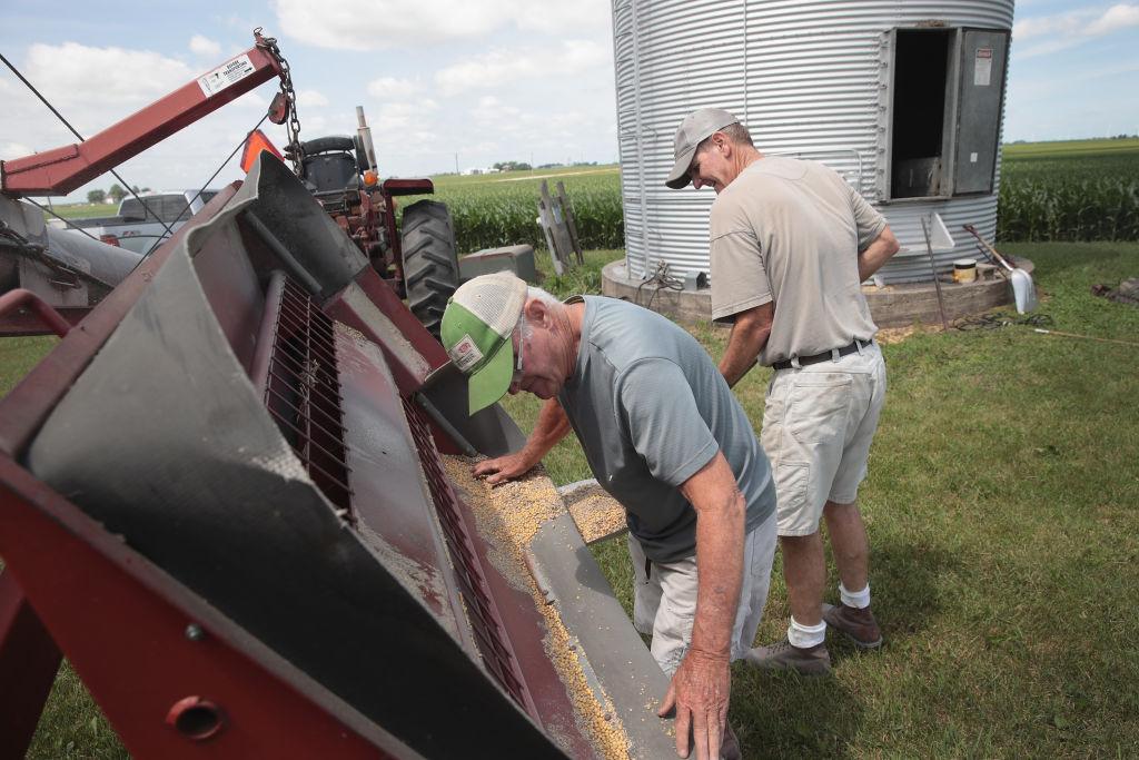 Farmer John Duffy (L) and Roger Murphy load soybeans from a grain bin onto a truck in Dwight, Ill., on June 13, 2018. (Scott Olson/Getty Images)
