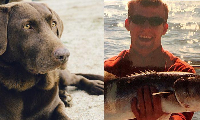 Alligator Mauls Service Dog, Distraught Owner Kills Himself Next Day