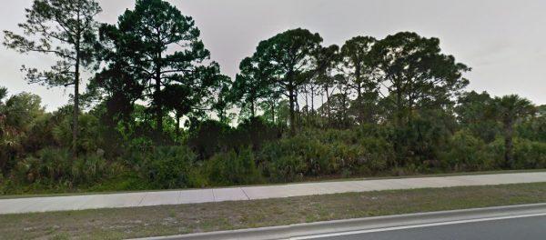 A Google Street View image shows trees near Fay Lake, Florida. (Screenshot/Google Street View)