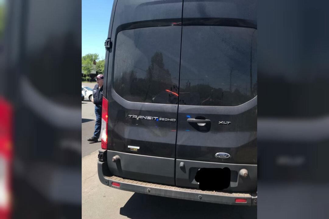 Woman Charged After More Than 20 Dogs, Macaw Were Discovered Living in Filthy Van