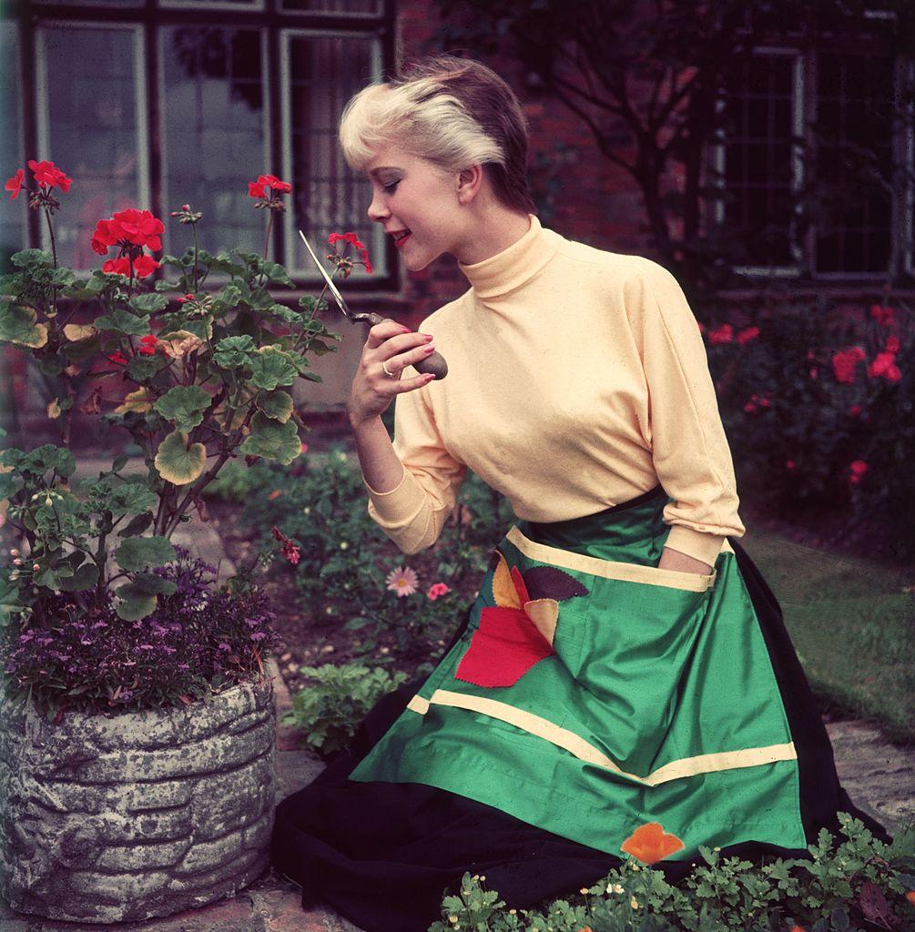 No time for gardening; hubby's coming home! (©Getty Images | <a href="https://www.gettyimages.com/detail/news-photo/fifties-housewife-repotting-flowering-plants-in-her-garden-news-photo/3093346?adppopup=true">Hulton Archive</a>)
