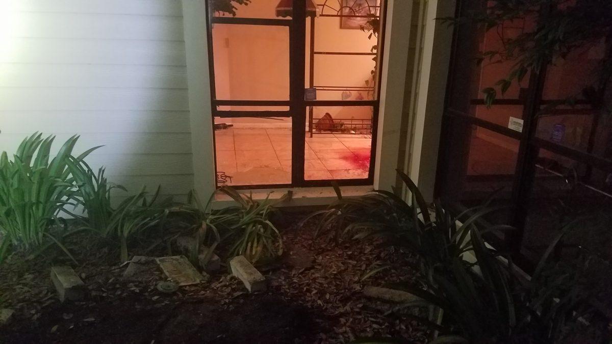 The homeowner said she isn't sure why the alligator broke into her house after passing by four empty condos. (Clearwater Police)