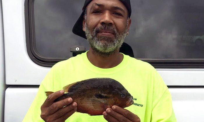 North Carolina Man Breaks Freshwater Fish Record With 2-Pound Catch