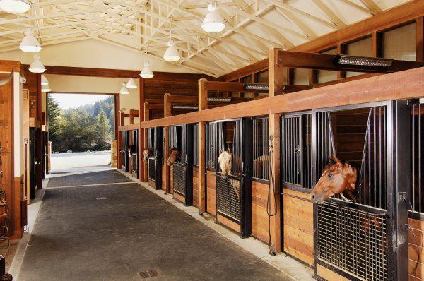 The stables at the Bergen Equestrian Center. (Courtesy of the Man O' War Project)