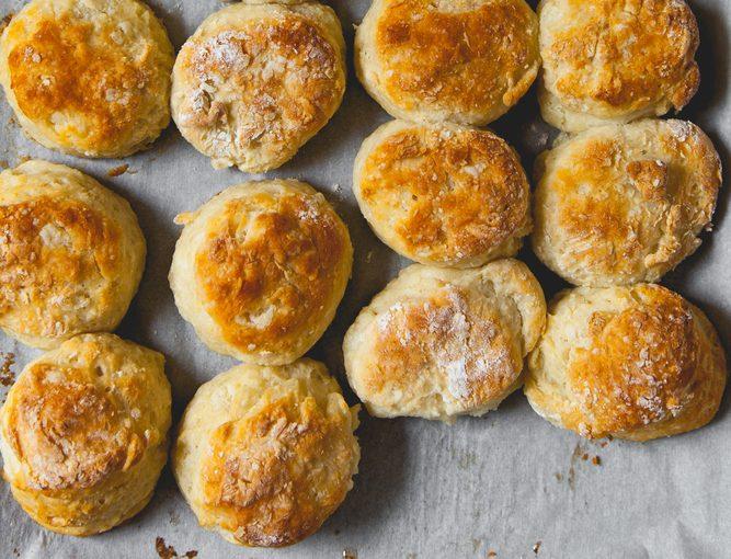 Biscuit Diaries: A Transplanted Southerner’s Quest for Her Ideal Biscuit