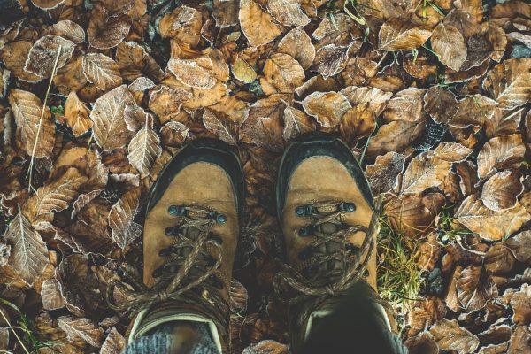 Leafy forest trails are places that ticks love to hide in (Illustration - Pixabay | <a href="https://pixabay.com/photos/shoes-hiking-shoes-hiking-1940249/">LUM3N</a>)