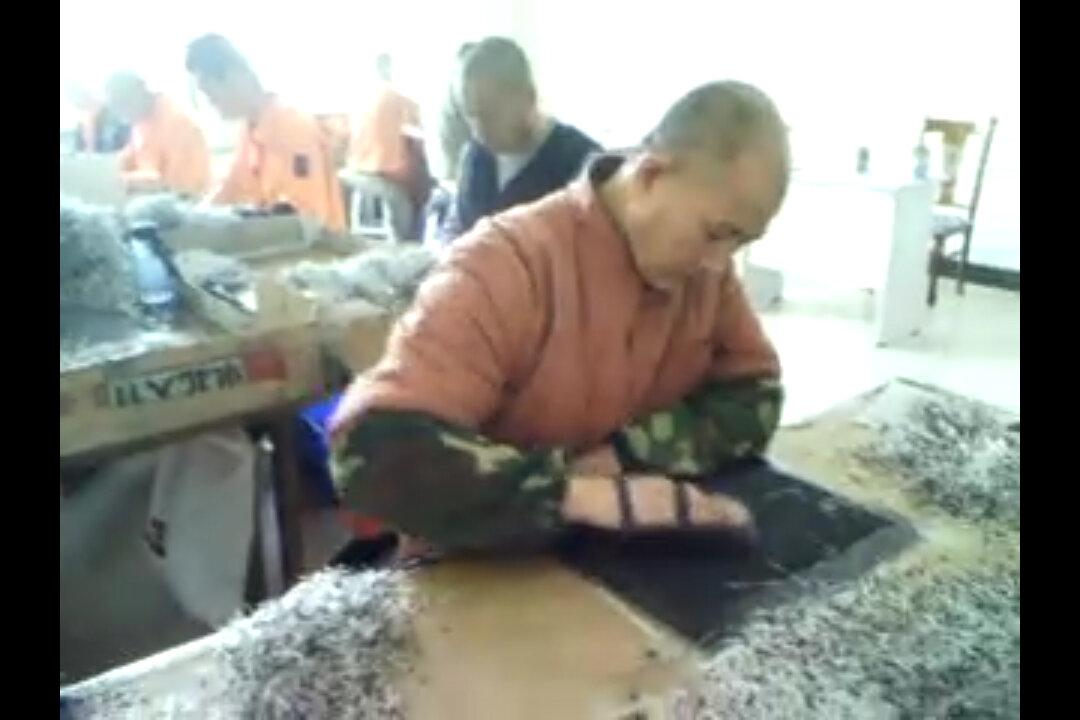 House Panel Democrats Turn Back GOP Anti-Forced Labor Amendment