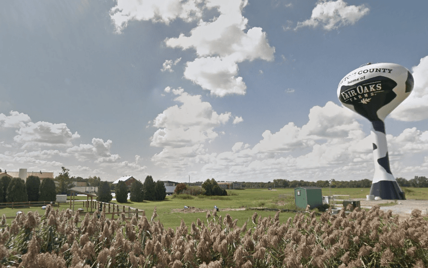 Fair Oaks Farms Speaks Out After Undercover Video Shows Alleged Animal Cruelty