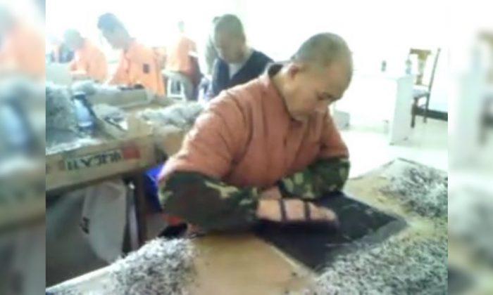 Secretly Recorded Footage Shows Slave Labor, Effects of Torture in Chinese Labor Camp