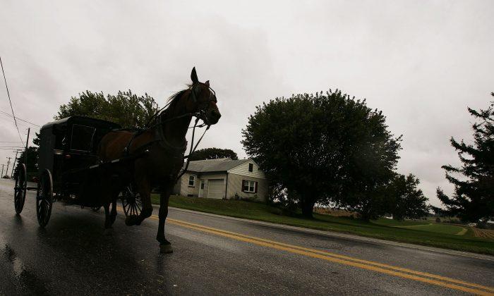 Two Children Die After Truck Hits Amish Horse-Drawn Carriage