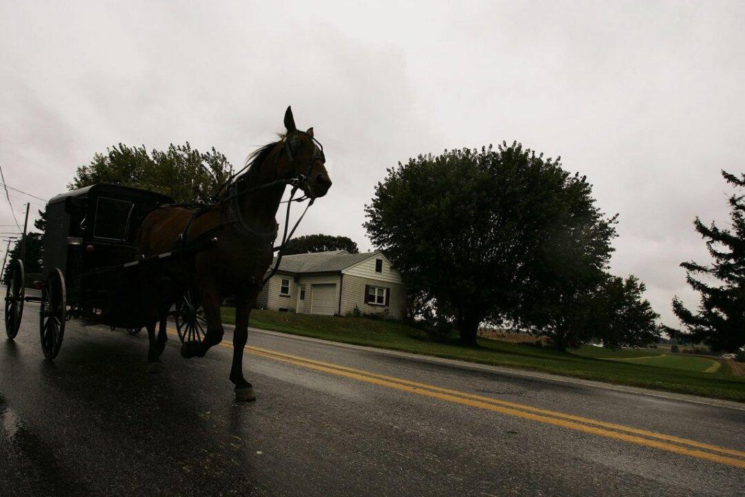 Two Children Die After Truck Hits Amish Horse-Drawn Carriage