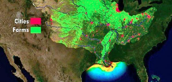The dead zone is caused when excess nutrients are passed down the Mississippi River watershed into the Gulf, officials said (NOAA)
