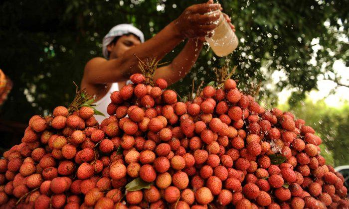 Over 50 Children in India Die of Brain Disease Linked to Lychee Toxins: Reports