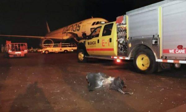 This photograph released by the state-run Saudi Press Agency shows debris on the tarmac of Abha Regional Airport after an attack by Yemen's Houthi rebels in Abha, Saudi Arabia on June 12, 2019. (Saudi Press Agency via AP)