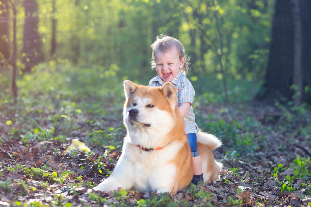 Not just man's best friend ... kids' best friends too (Illustration - Away/Shutterstock)
