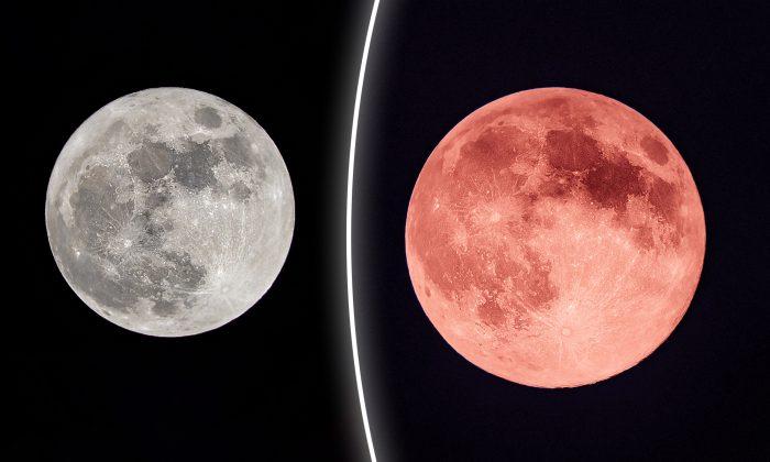 Early Summer ‘Strawberry Full Moon’ Will Rise on June 17–Will Bring ‘Focus’ and ’Spiritual Expansion’