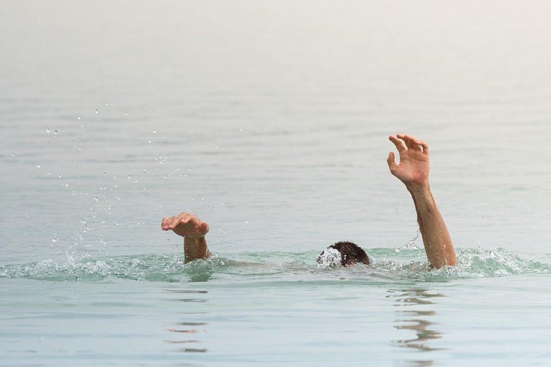 Pregnant Former Lifeguard Saves Drowning Boy at Minnesota Lake