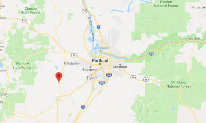 Missing Oregon Woman, 3-Year-Old Son Found Dead in Remote Area: Reports
