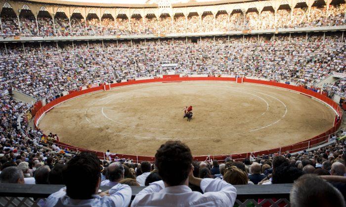 Bull Kills 60-Year-Old Assistant at Spanish Bullfighting Ring