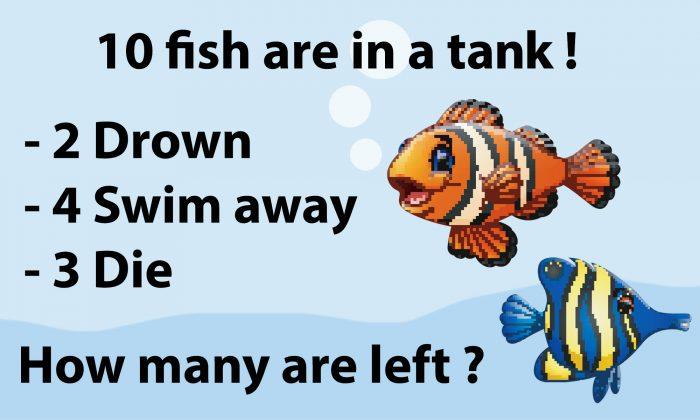 Fish Math Riddle Is Driving People Crazy: Can You Solve It in Under 60 Seconds?