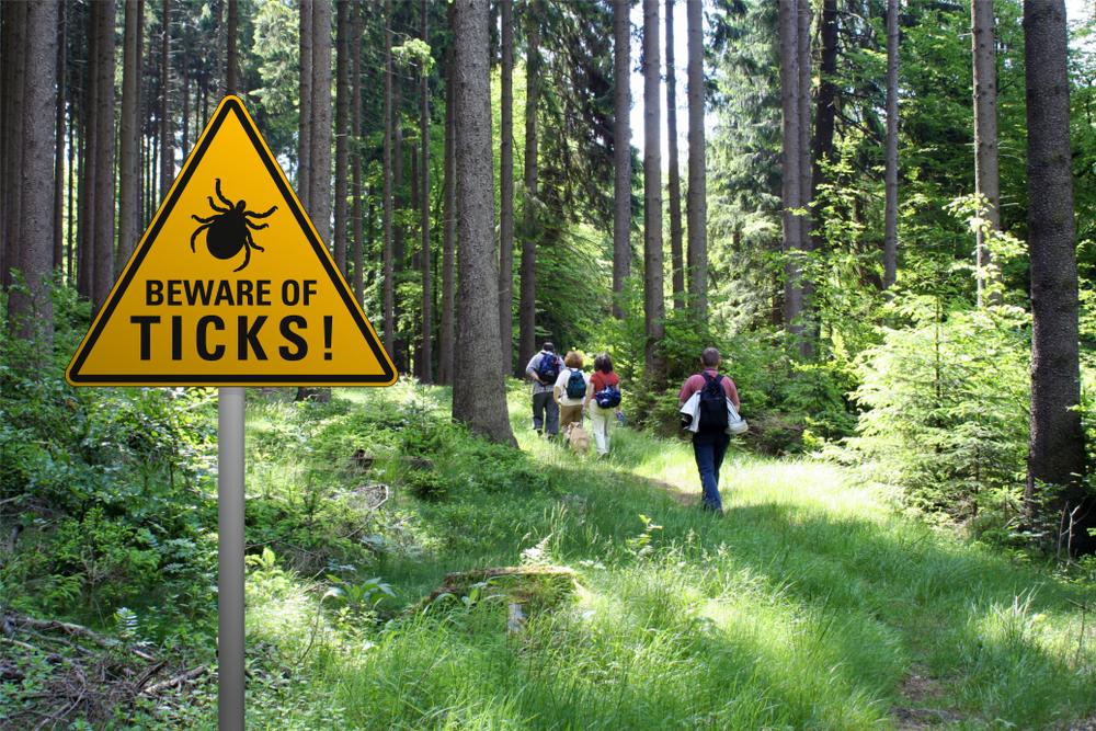 A walk in the woods could be more dangerous than you think (Illustration - Shutterstock | <a href="https://www.shutterstock.com/image-photo/warning-sign-beware-ticks-infested-area-1100981120?src=sWmcrl_62rLcN4zsIRsdlg-1-2&studio=1">Heiko Barth</a>)