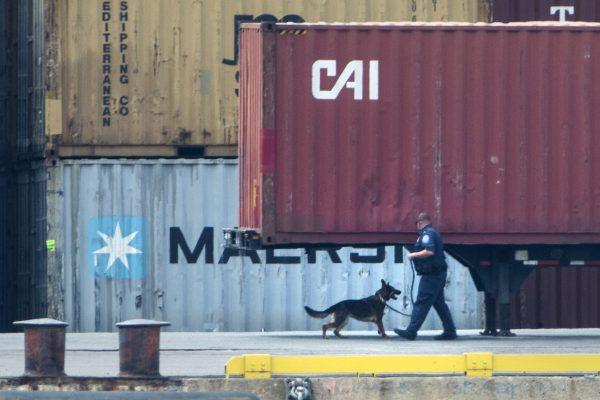 An officer with a dog inspects a container along the Delaware River in Philadelphia, on June 18, 2019. (Matt Rourke/AP Photo)