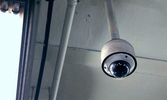 Burglar Steals Security Camera, Unwittingly Livestreams the Act