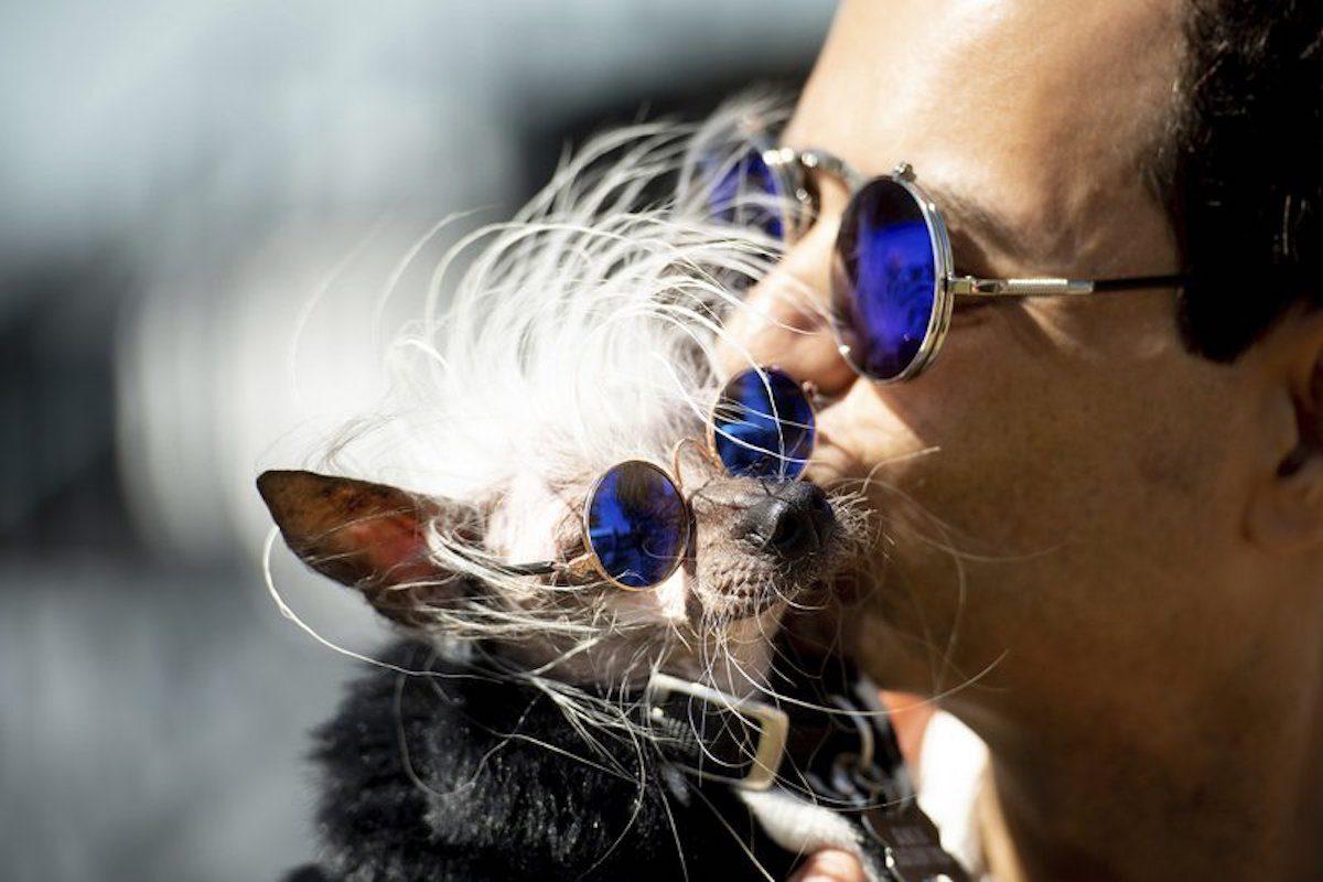 Dane Andrew kisses his dog Rascal before the start of the World's Ugliest Dog Contest at the Sonoma-Marin Fair, in Petaluma, Calif., on June 21, 2019. (Noah Berger/AP Photo)