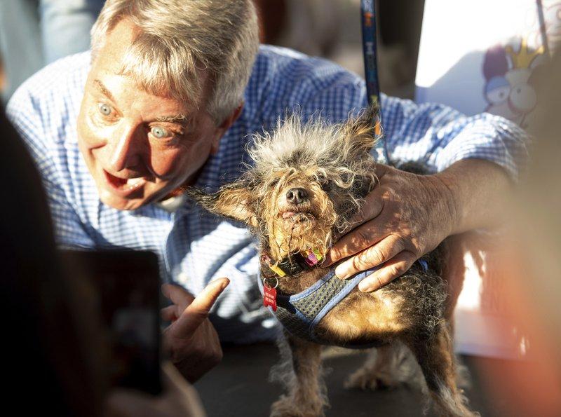 Scamp the Tramp is held after taking top honors in the World's Ugliest Dog Contest at the Sonoma-Marin Fair in Petaluma, Calif., on June 21, 2019. At (L) is Kerry Sanders, a reporter who served as one of the judges. (Noah Berger/AP Photo)
