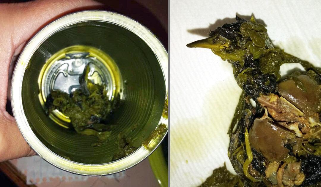 Pennsylvania Woman Surprised After Finding Dead Bird in Canned Vegetables