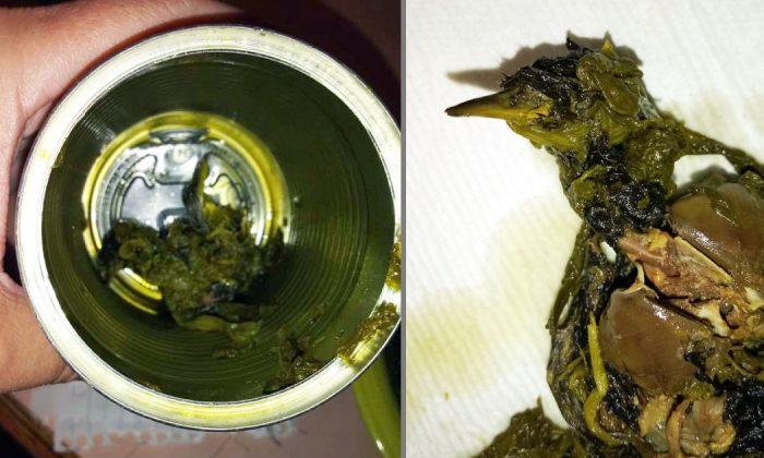 Pennsylvania Woman Surprised After Finding Dead Bird in Canned Vegetables