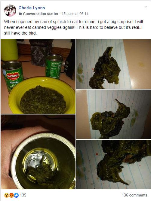 A screenshot of mother Cherie Lyons's photos showing a dead bird she claims to have found in a can of Del Monte spinach in Chambersburg, Pa., on June 14, 2019. (Cherie Lyons/Facebook)