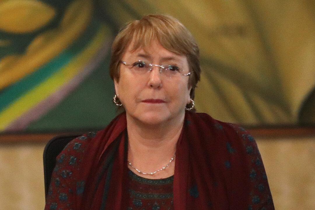 Hong Kong Should Consult Widely on Extradition Bill: UN Rights Boss