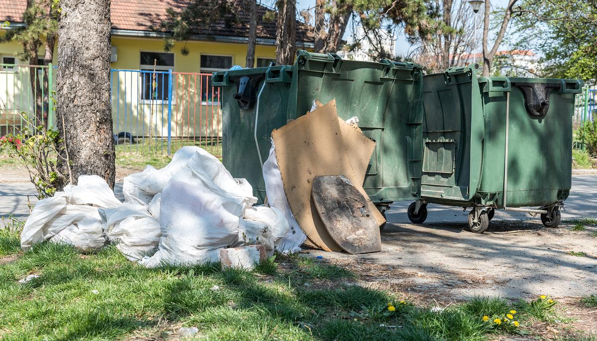 Dog Discarded Like Trash in Sealed Box Kept Wagging Tail, Hoping Someone Might Help
