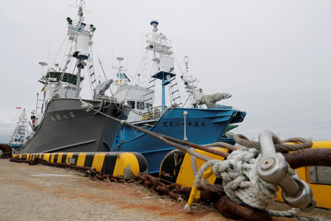 After 30 Years, Japanese Ships Prepare to Resume Commercial Whaling