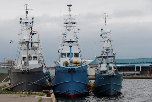 Whaling ships which are set to join the resumption of commercial whaling at anchor at a port in Kushiro, Hokkaido Prefecture, Japan on June 30, 2019. (Kim Kyung-Hoon/Reuters)