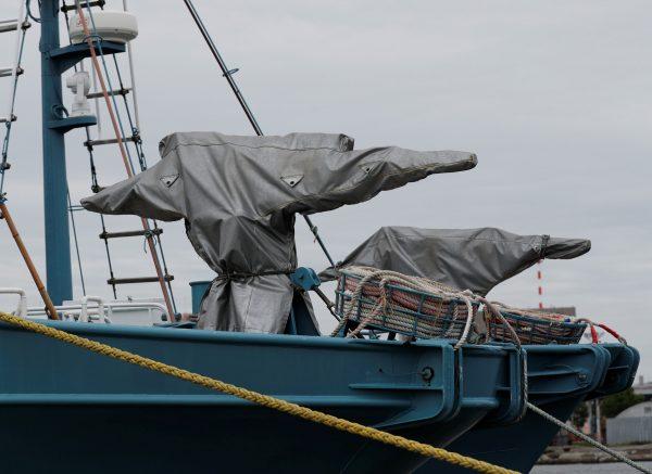 Whaling guns in covers are seen on whaling ships which are set to join the resumption of commercial whaling at anchor at a port in Kushiro, Hokkaido Prefecture, Japan on June 30, 2019. (Kim Kyung-Hoon/Reuters)