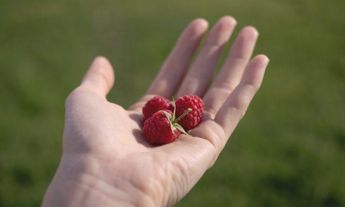 Breathe Easier With Raspberry and N-Acetylcysteine