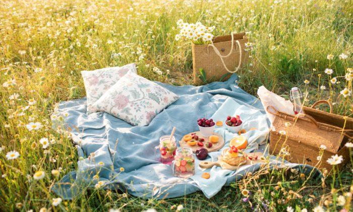 Tips for a Perfect Picnic
