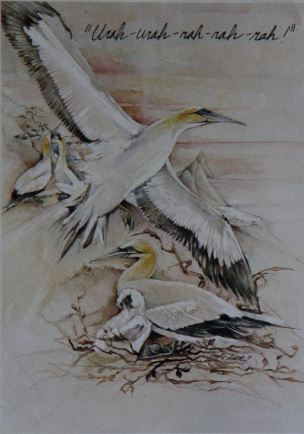 Gannets feature in this watercolor by Lyn Kriegler. The illustration was part of a series of New Zealand travel guides that Kriegler completed when she first came to New Zealand. The guides were part of an advertising campaign for Mobil. (Lorraine Ferrier/The Epoch Times)