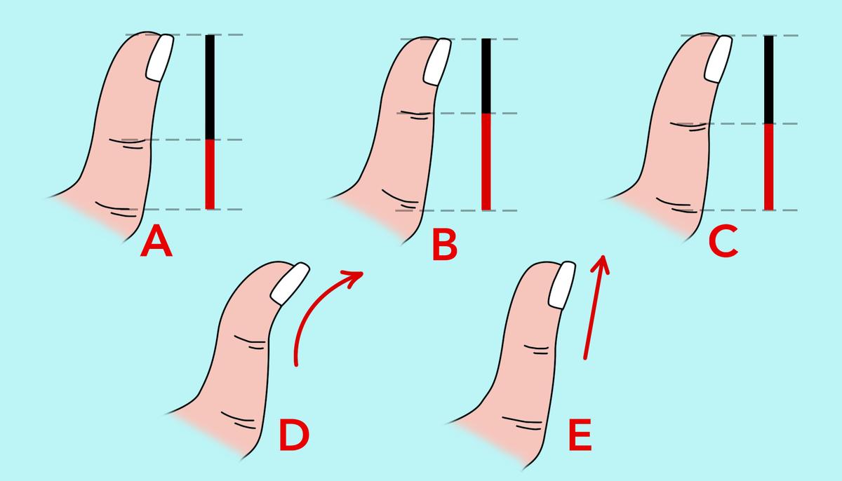 The Shape of Your Thumb Can Reveal Interesting Things About Your Life and Personality