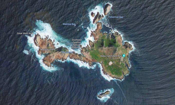 The US Wants to Start Dumping Rat Poison on These Islands. It Will Help the Birds, Scientists Say
