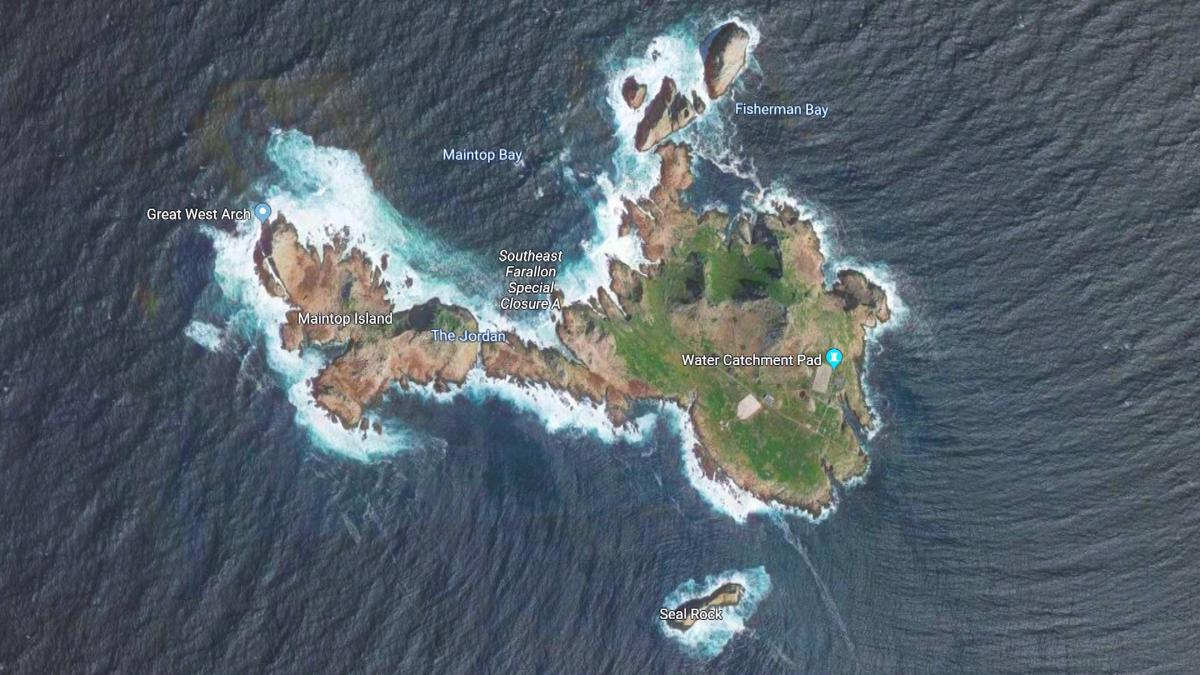 The US Wants to Start Dumping Rat Poison on These Islands. It Will Help the Birds, Scientists Say