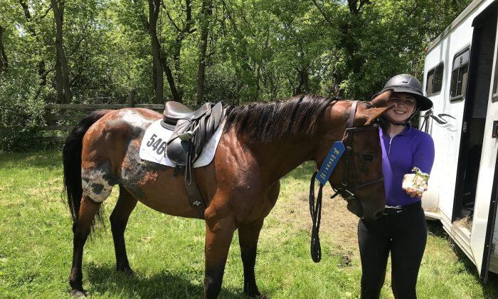 A Teen’s Mission to Rescue Horses