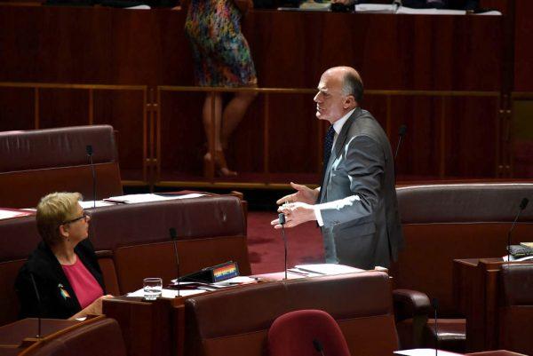 Senator Eric Abetz in discussion with Janet Rice in the Senate at Parliament House in Canberra, Australia, on Nov. 29, 2017. (Michael Masters/Getty Images)