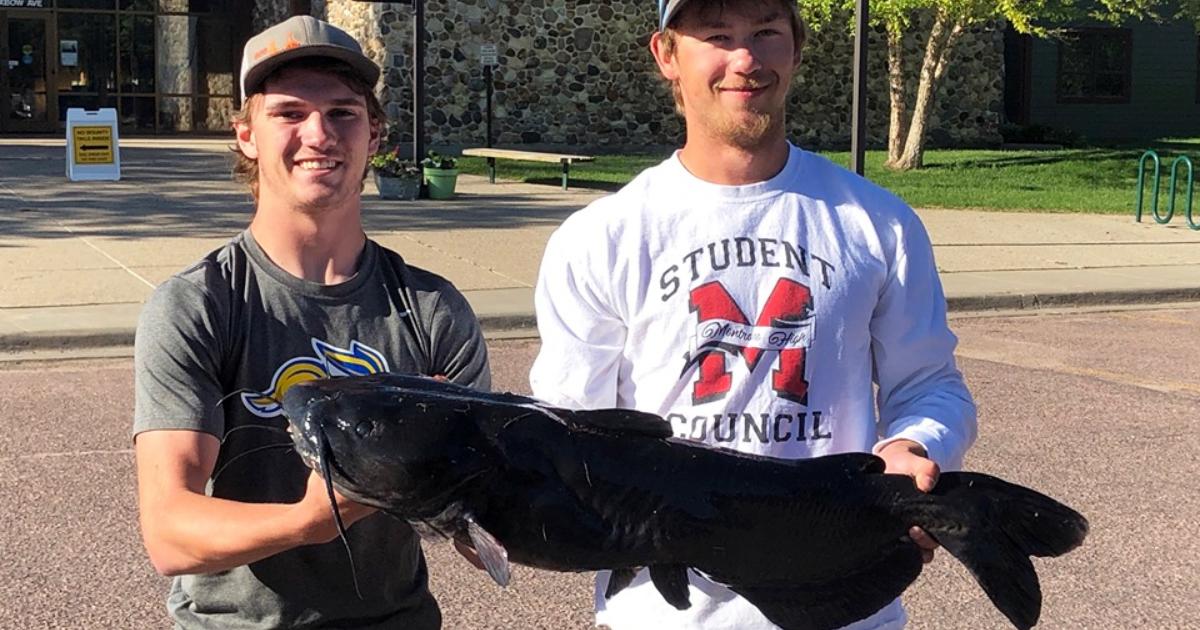 Midwest Fishermen Catch Record-Breaking Catfish