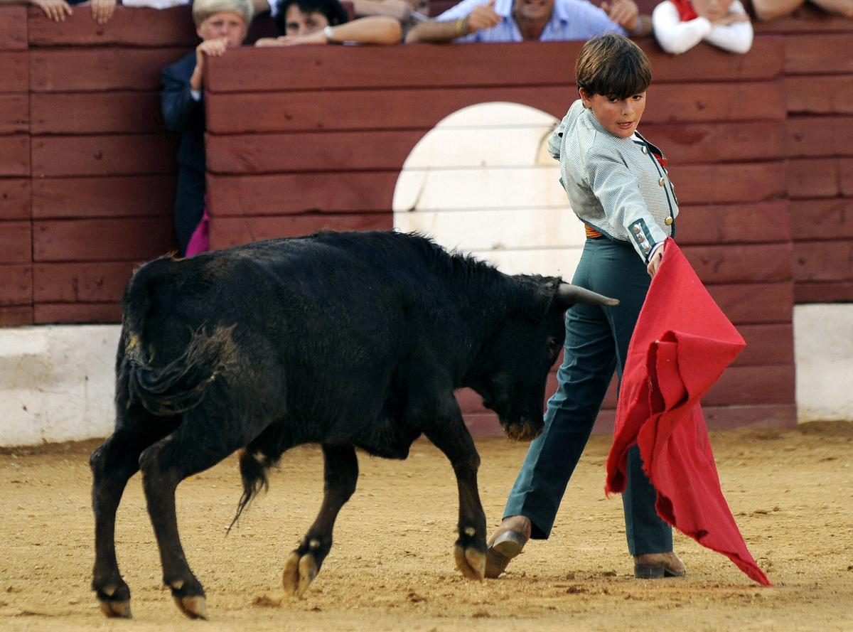 ‘Cowardly’ Bullfighter Amateurs Criticized for Taking on Calves