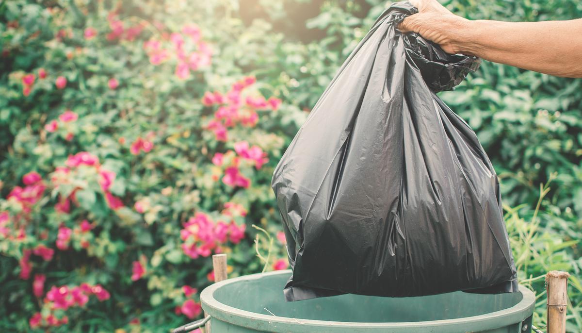 Woman Dumps 7 Newborn Pups in Trash, Then Her Lawyer Defends ‘Puppies Aren’t People’