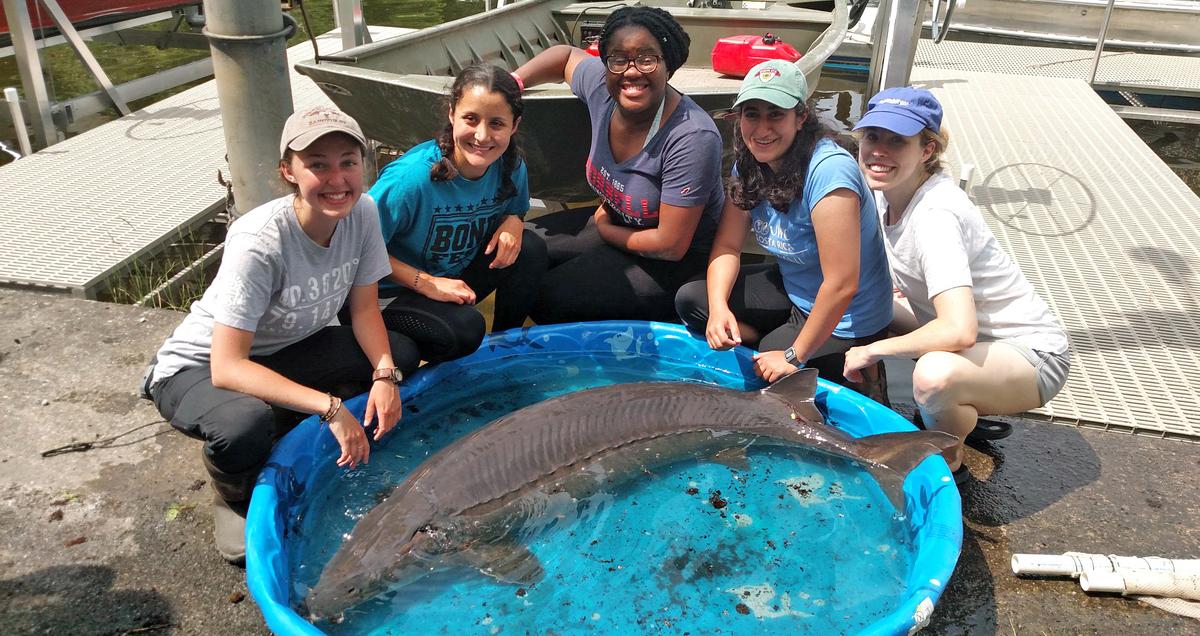 139 Pound Sturgeon Claimed to Be Largest Fish Ever Caught From New York Lake